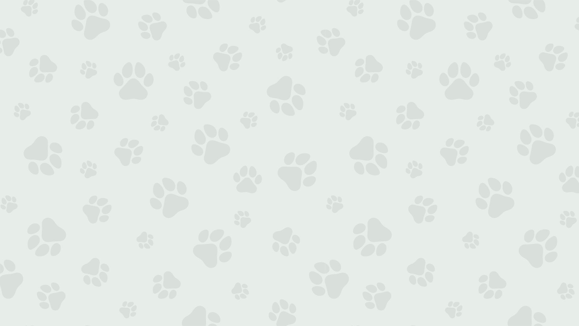 こうや動物病院