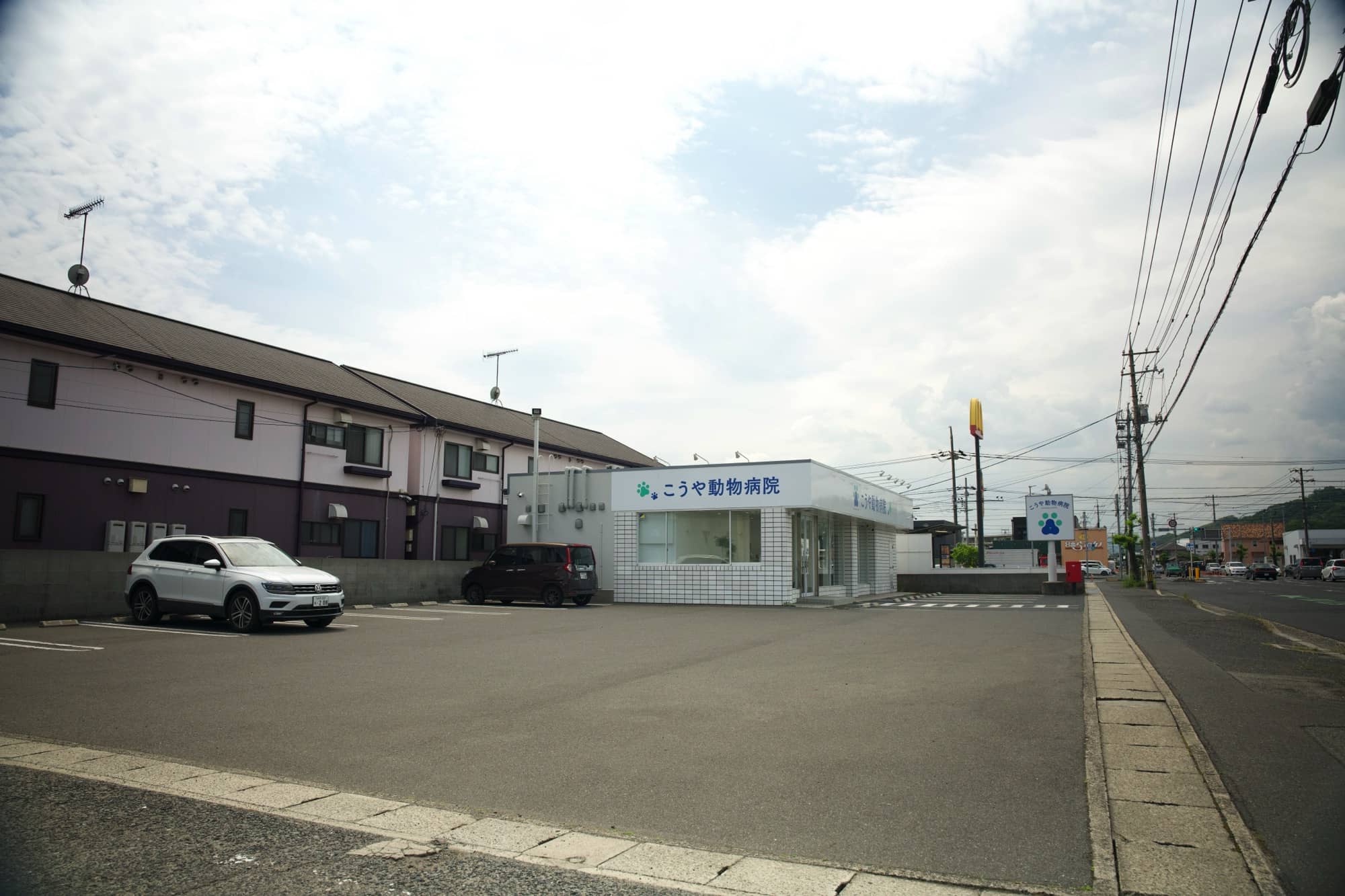 皮膚の症状を診療 |岡山県倉敷にある動物病院です