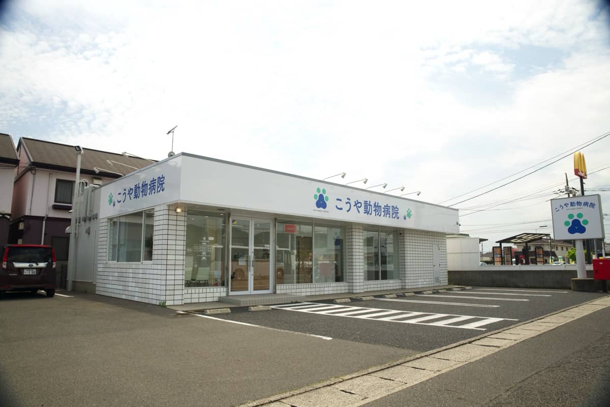 公式サイトへ