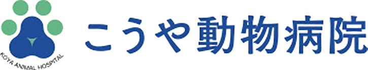こうや動物病院